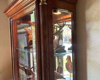 Lighted Display Cabinet