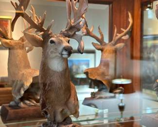 Bass Pro Shops King of Bucks Collection Sculpture