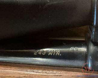 Savage Model 99F .243