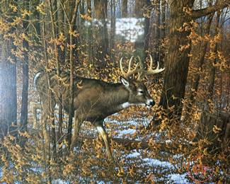 MICHAEL SIEVE Signed Print