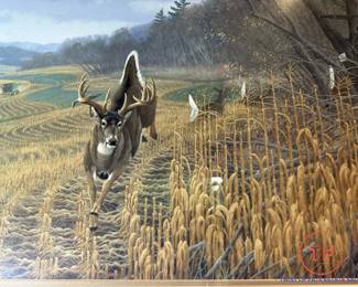 MICHAEL SIEVE Signed Limited Edition Print