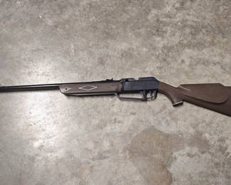 Pellet gun with bag and some pellets