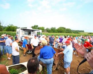 auction field of dreams
