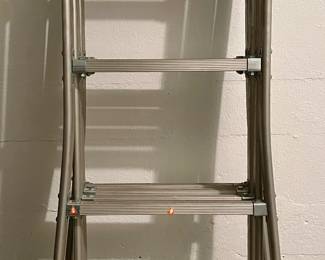 Extendable Aluminum Ladder