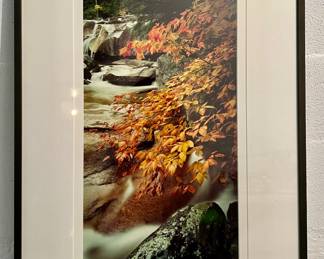 Signed Photograph, Ronald Wilson - 7/250