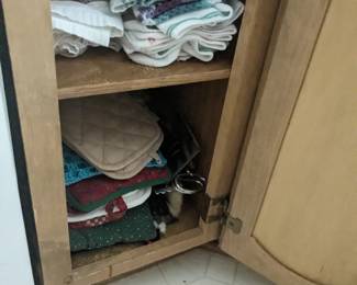 Pot Holders, Napkins, Kitchen Towels 