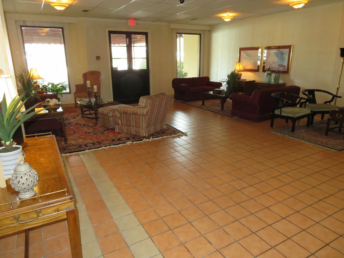 Fine Upscale Green Trees Collectors Sale starts on 5/25/2024