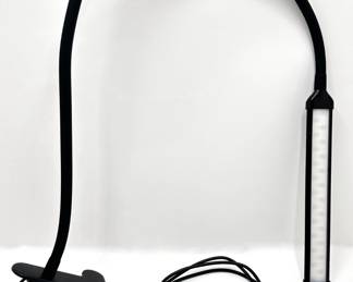 LED Gooseneck Clip Lamp With USB Power Cord
Lot #: 151