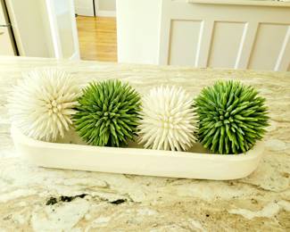 Decorative succulents