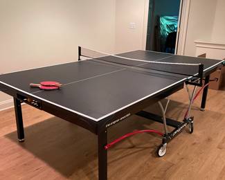 Ping Pong table