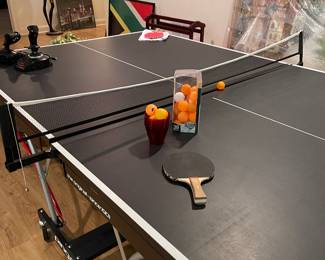 Ping pong table