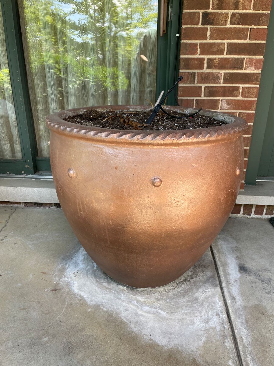 Outstanding Northbrook Estate Sale by An... starts on 5/24/2024