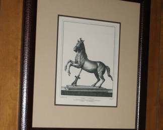 Framed Art of Horse