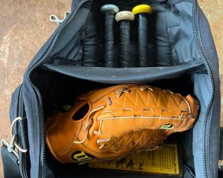 PPE220- Wilson A2000 Baseball Glove & Soft Ball Bats 