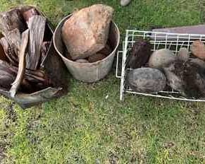 PPE213- Various Rocks & Wood Cuttings