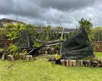 PPE222- Mystery Shade House Lot