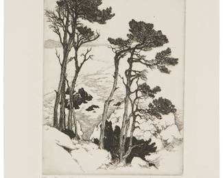 14
Gene Kloss
1903-1996
"Pines On Point Lobos," 1938
Etching on Arches paper
Edition: 65/75
Signed, titled, numbered, and inscribed "N.A." in pencil at the lower margin: Gene Kloss
Plate: 9" H x 7" W; Sheet: 13.75" H x 10.5" W
Estimate: $500 - $700