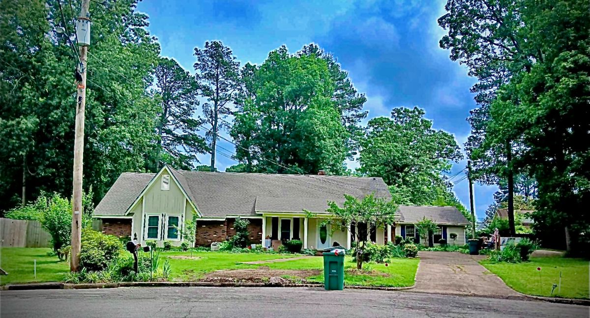 TERRIFIC TUPELO! Everything & MORE! starts on 5/24/2024