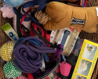 New dog toys, leashes and harnesses 
