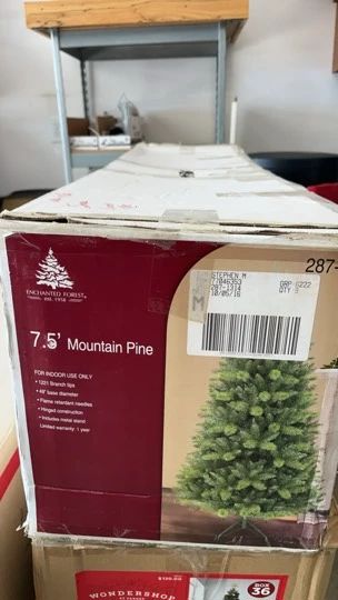 7.5 Mountain Pine Christmas Tree