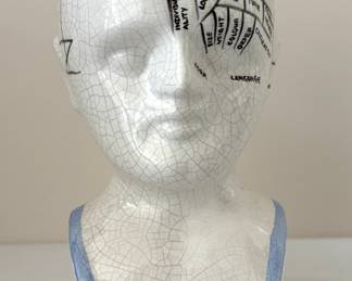 Vintage Phrenology Medical Head Scientific Bust England