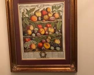 Botanical month prints