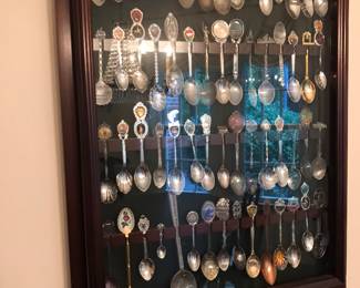 Spoons and hanging case