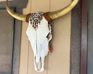 Cow skull w/horns & decor