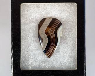 Large Zebra Jasper Cabachon In Riker Display Box