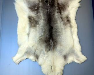 Animal Hide Rug, Possibly Reindeer, 54" x 33"