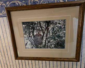 ORIGINAL SIGNED/NUMBERED THOMAS MANGELSEN PHOTOGRAPH