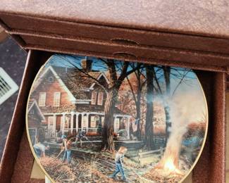 Terry Redlin collectible plates.   20 in the set