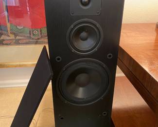 interior of the speakers.