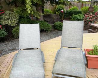 $220 Pair of chaises from Costco.