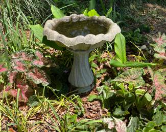 $90 Concrete Birdbath