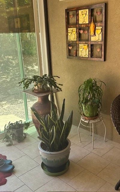 estate sale santo domingo