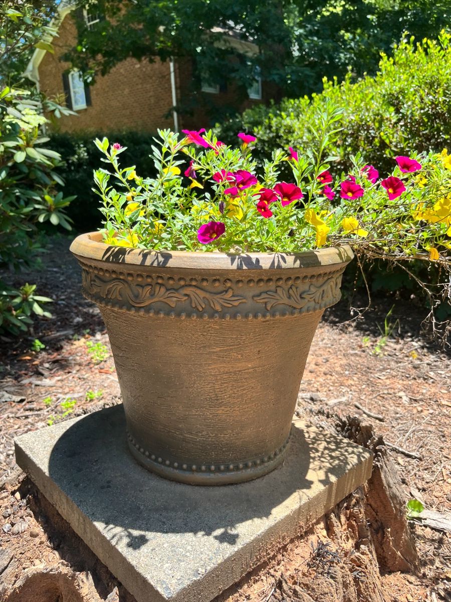Hamilton Forest Estate Sale in Greensboro, NC starts on 6/15/2024