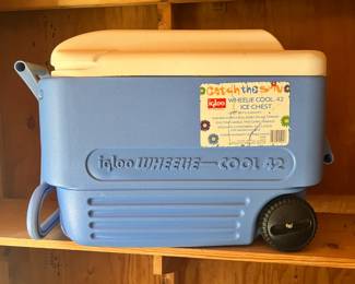 Igloo Cooler