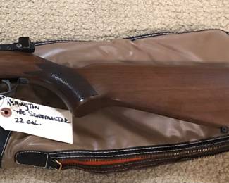 Remington 22 caliber