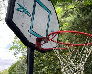 81. Zero Gravity Basketball Hoop by Huffy Sports