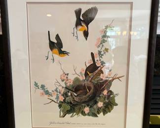 117. Framed Audubon Reproduction Prints (23" x 19.5")