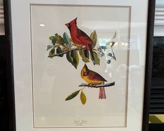 119. Framed Audubon Reproduction Prints (23" x 19.5")