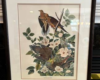 121. Framed Audubon Reproduction Prints (23" x 19.5")
