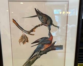 118. Framed Audubon Reproduction Prints (23" x 19.5")