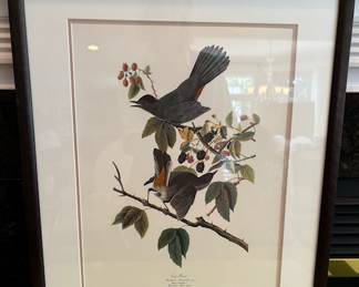 120. Framed Audubon Reproduction Prints (23" x 19.5")