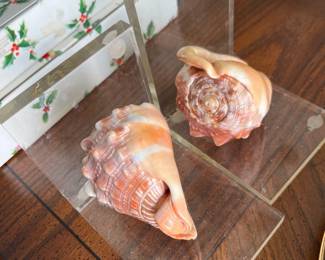 seashell bookends coastal