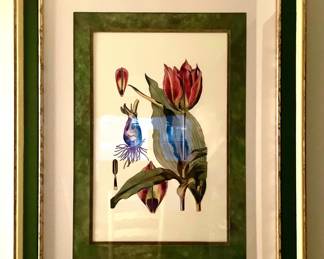 Large Framed Botanical Print
