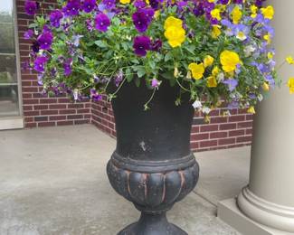 Planter of Colorful Pansies (A)