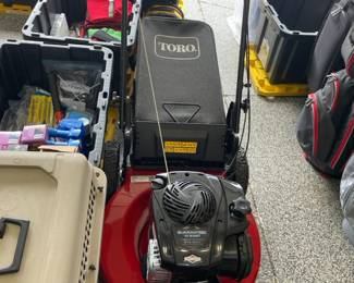 Toro 22