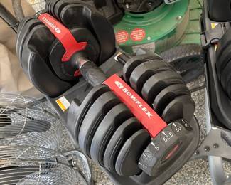 Bowflex Adjustable Weight Set